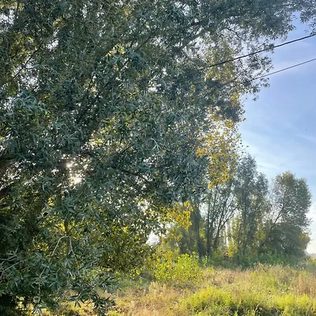 Charmant Studio * Binche