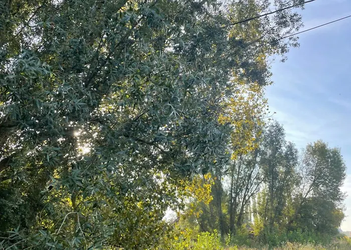 Charmant Studio * Binche